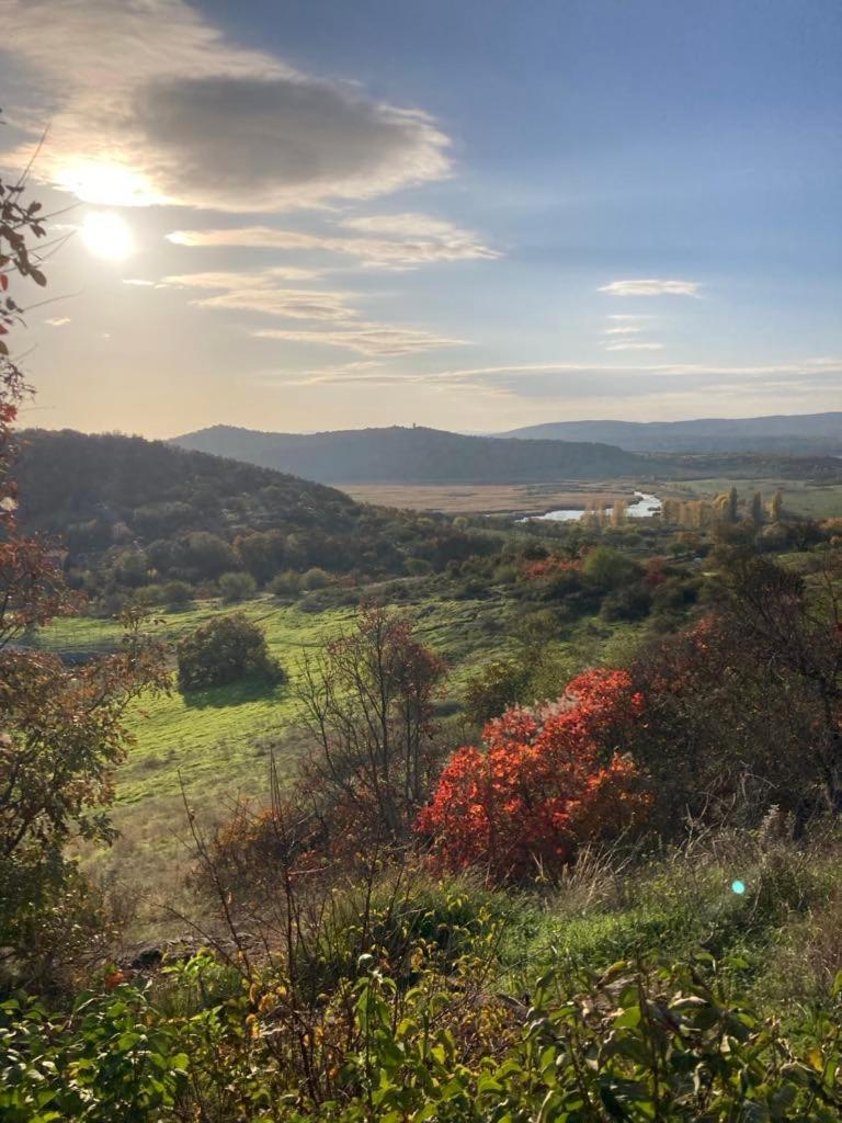 Babamuzeum Apartman Tihany Dış mekan fotoğraf