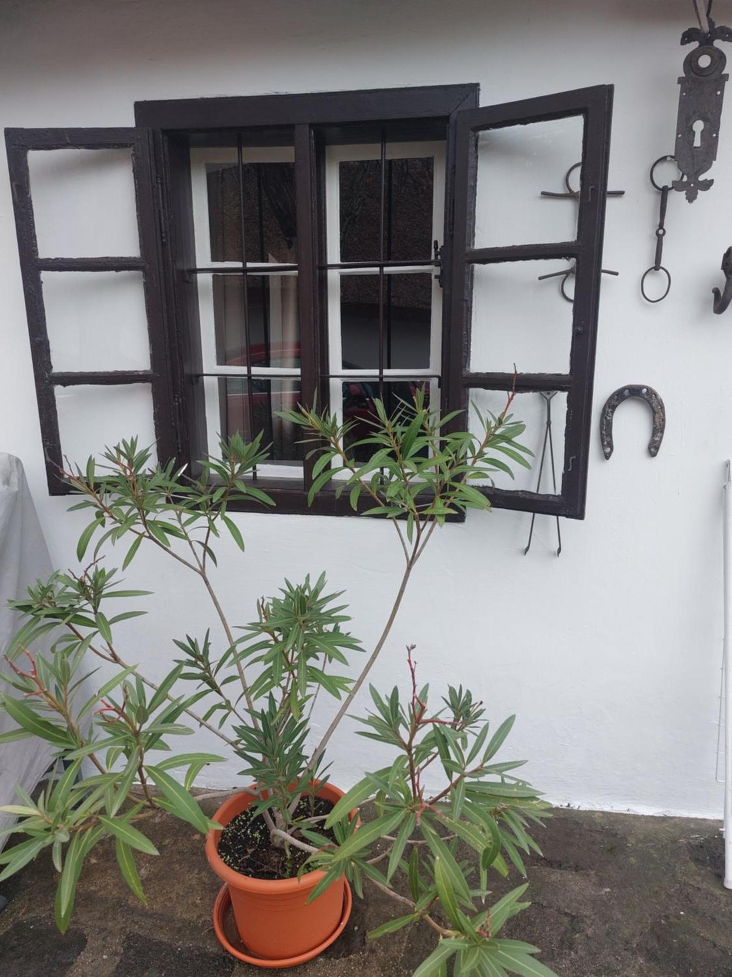 Babamuzeum Apartman Tihany Dış mekan fotoğraf